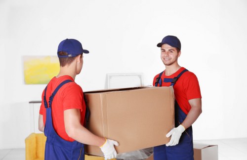 Belgravia moving website accessibility statement introduction